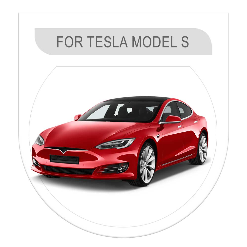 Model S